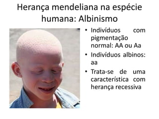 Herança mendeliana na espécie
humana: Albinismo
• Indivíduos com
pigmentação
normal: AA ou Aa
• Indivíduos albinos:
aa
• Trata-se de uma
característica com
herança recessiva
 