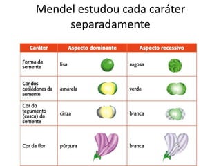 Mendel estudou cada caráter
separadamente
 