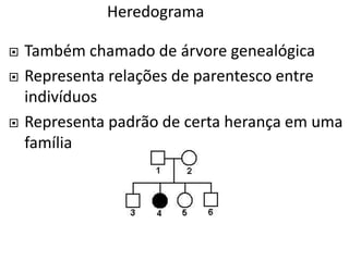 Heredograma
 Também chamado de árvore genealógica
 Representa relações de parentesco entre
indivíduos
 Representa padrão de certa herança em uma
família
 