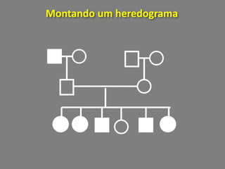 Montando um heredograma
 