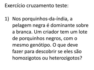 Exercício cruzamento teste:
1) Nos porquinhos-da-índia, a
pelagem negra é dominante sobre
a branca. Um criador tem um lote
de porquinhos negros, com o
mesmo genótipo. O que deve
fazer para descobrir se eles são
homozigotos ou heterozigotos?
 