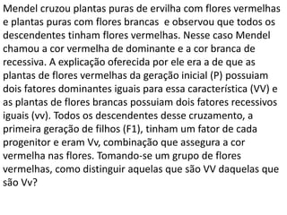 Mendel cruzou plantas puras de ervilha com flores vermelhas
e plantas puras com flores brancas e observou que todos os
descendentes tinham flores vermelhas. Nesse caso Mendel
chamou a cor vermelha de dominante e a cor branca de
recessiva. A explicação oferecida por ele era a de que as
plantas de flores vermelhas da geração inicial (P) possuiam
dois fatores dominantes iguais para essa característica (VV) e
as plantas de flores brancas possuiam dois fatores recessivos
iguais (vv). Todos os descendentes desse cruzamento, a
primeira geração de filhos (F1), tinham um fator de cada
progenitor e eram Vv, combinação que assegura a cor
vermelha nas flores. Tomando-se um grupo de flores
vermelhas, como distinguir aquelas que são VV daquelas que
são Vv?
 