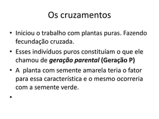 Os cruzamentos
• Iniciou o trabalho com plantas puras. Fazendo
fecundação cruzada.
• Esses indivíduos puros constituíam o que ele
chamou de geração parental (Geração P)
• A planta com semente amarela teria o fator
para essa característica e o mesmo ocorreria
com a semente verde.
•
 