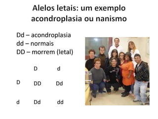 Dd – acondroplasia
dd – normais
DD – morrem (letal)
d
d
D
D
Dd
DD Dd
dd
 