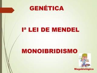 Magabiológica
GENÉTICA
Iª LEI DE MENDEL
MONOIBRIDISMO
 