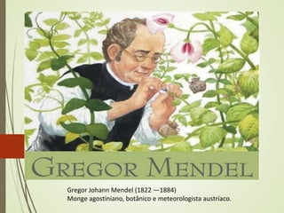 Gregor Johann Mendel (1822 —1884)
Monge agostiniano, botânico e meteorologista austríaco.
 
