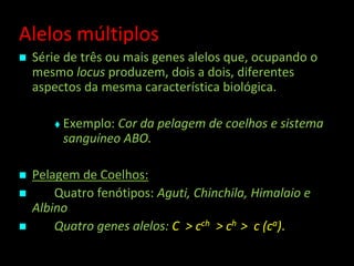 Alelos múltiplos
 Série de três ou mais genes alelos que, ocupando o
mesmo locus produzem, dois a dois, diferentes
aspectos da mesma característica biológica.
 Exemplo: Cor da pelagem de coelhos e sistema
sanguíneo ABO.
 Pelagem de Coelhos:
 Quatro fenótipos: Aguti, Chinchila, Himalaio e
Albino
 Quatro genes alelos: C > cch > ch > c (ca).
 
