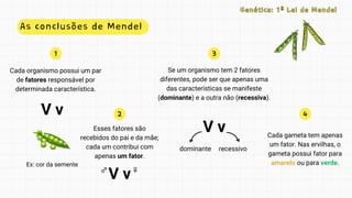 1
2
3
4
Se um organismo tem 2 fatores
diferentes, pode ser que apenas uma
das características se manifeste
(dominante) e a outra não (recessiva).
Cada organismo possui um par
de fatores responsável por
determinada característica.
As conclusões de Mendel
Genética: 1ª Lei de Mendel
Genética: 1ª Lei de Mendel
V v
Cada gameta tem apenas
um fator. Nas ervilhas, o
gameta possui fator para
amarelo ou para verde.
Esses fatores são
recebidos do pai e da mãe;
cada um contribui com
apenas um fator.
Ex: cor da semente
V v
dominante recessivo
V v♀
♂
 
