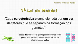 “Cada característica é condicionada por um par
de fatores que se separam na formação dos
gametas”.
1ª Lei de Mendel
1ª Lei de Mendel
Esses “fatores” são o que hoje conhecemos como
genes e as versões desses fatores são o que
chamamos de alelos.
Genética: 1ª Lei de Mendel
Genética: 1ª Lei de Mendel
 