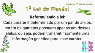 Reformulando a lei:
Cada caráter é determinado por um par de alelos,
porém os gametas possuem apenas um desses
alelos, ou seja, podem transmitir somente uma
informação genética para esse caráter.
1ª Lei de Mendel
1ª Lei de Mendel
Genética: 1ª Lei de Mendel
Genética: 1ª Lei de Mendel
 