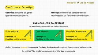 Dois alelos V
Genótipo: VV
Fenótipo: ervilha amarela
Genótipo: vv
Fenótipo: ervilha verde
Dois alelos v
Genótipo: Vv
Fenótipo: ervilha amarela
Um alelo V e outro v
Genótipo e fenótipo
Genética: 1ª Lei de Mendel
Genética: 1ª Lei de Mendel
Fenótipo: conjunto de características
morfológicas ou funcionais do indivíduo.
Genótipo: conjunto de genes
que um indivíduo possui.
EXEMPLO: COR DA ERVILHA
EXEMPLO: COR DA ERVILHA
Se a ervilha apresentar no par de cromossomos:
O alelo V para cor amarela é dominante. Os alelos dominantes são capazes de esconder o alelo recessivo.
As ervilhas VV e vv são homozigotas. A ervilha Vv é heterozigota.
 
