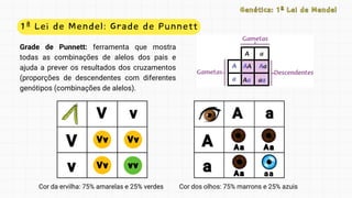 V
v
V
v
V v
V v
Vv
Vv Vv
Vv
Vv
Vv vv
vv
A
a
A
a
A a
A a
Aa
Aa Aa
Aa
Aa
Aa aa
aa
1ª Lei de Mendel: Grade de Punnett
Genética: 1ª Lei de Mendel
Genética: 1ª Lei de Mendel
Grade de Punnett: ferramenta que mostra
todas as combinações de alelos dos pais e
ajuda a prever os resultados dos cruzamentos
(proporções de descendentes com diferentes
genótipos (combinações de alelos).
Cor da ervilha: 75% amarelas e 25% verdes Cor dos olhos: 75% marrons e 25% azuis
 