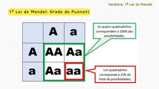 1ª Lei de Mendel: Grade de Punnett
Genética: 1ª Lei de Mendel
Genética: 1ª Lei de Mendel
 