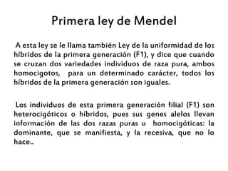 Primera ley de Mendel
A esta ley se le llama también Ley de la uniformidad de los
híbridos de la primera generación (F1), y dice que cuando
se cruzan dos variedades individuos de raza pura, ambos
homocigotos, para un determinado carácter, todos los
híbridos de la primera generación son iguales.
Los individuos de esta primera generación filial (F1) son
heterocigóticos o híbridos, pues sus genes alelos llevan
información de las dos razas puras u homocigóticas: la
dominante, que se manifiesta, y la recesiva, que no lo
hace..
 