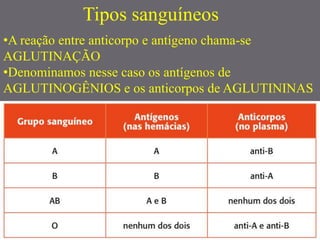 Tipos sanguíneos
•A reação entre anticorpo e antígeno chama-se
AGLUTINAÇÃO
•Denominamos nesse caso os antígenos de
AGLUTINOGÊNIOS e os anticorpos de AGLUTININAS
 