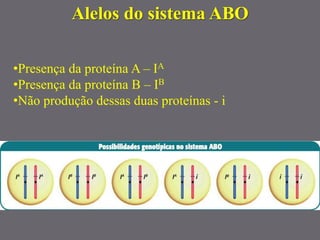 •Presença da proteína A – IA
•Presença da proteína B – IB
•Não produção dessas duas proteínas - i
Alelos do sistema ABO
 