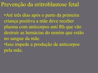 Prevenção da eritroblastose fetal
•Até três dias após o parto da primeira
criança positiva a mãe deve receber
plasma com anticorpos anti Rh que vão
destruir as hemácias do neném que estão
no sangue da mãe.
•Isso impede a produção de anticorpos
pela mãe.
 
