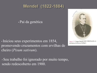 • Pai da genética
• Iniciou seus experimentos em 1854,
promovendo cruzamentos com ervilhas de
cheiro (Pisum sativum).
• Seu trabalho foi ignorado por muito tempo,
sendo redescoberto em 1900.
 