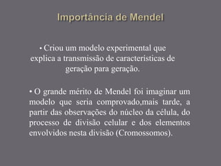 • Criou um modelo experimental que
explica a transmissão de características de
geração para geração.
• O grande mérito de Mendel foi imaginar um
modelo que seria comprovado,mais tarde, a
partir das observações do núcleo da célula, do
processo de divisão celular e dos elementos
envolvidos nesta divisão (Cromossomos).
 