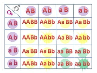 aBabAbABAABBAABbAaBBAaBbABAbAABbAAbbAaBbAabbaBAaBBAaBbaaBBaaBbabAABbAabbaaBbaabb