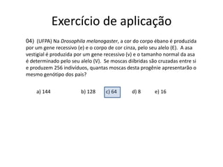Exercício de aplicação04)  (UFPA) Na Drosophila melanogaster, a cor do corpo ébano é produzida por um gene recessivo (e) e o corpo de cor cinza, pelo seu alelo (E).  A asa vestigial é produzida por um gene recessivo (v) e o tamanho normal da asa é determinado pelo seu alelo (V).  Se moscas diíbridas são cruzadas entre si e produzem 256 indivíduos, quantas moscas desta progênie apresentarão o mesmo genótipo dos pais?a) 144b) 128c) 64d) 8           e) 16