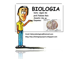 Email: fabianobiologico@hotmail.comBlog: http://biologiaquepariu.blogspot.com