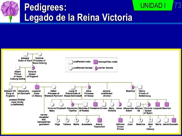 Victoria De Inglaterra Arbol Genealogico - SEONegativo.com