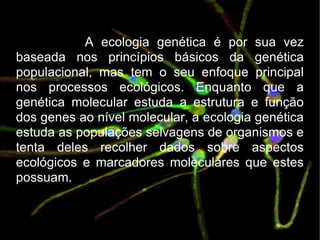 A ecologia genética é por sua vez baseada nos princípios básicos da genética populacional, mas tem o seu enfoque principal nos processos ecológicos. Enquanto que a genética molecular estuda a estrutura e função dos genes ao nível molecular, a ecologia genética estuda as populações selvagens de organismos e tenta deles recolher dados sobre aspectos ecológicos e marcadores moleculares que estes possuam. 