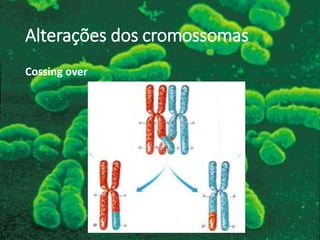 Alterações dos cromossomas
Cossing over
 