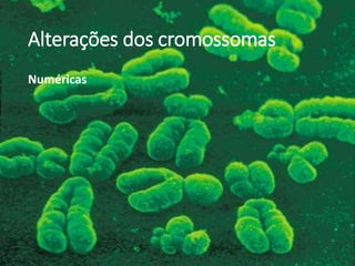 Alterações dos cromossomas
Numéricas
 