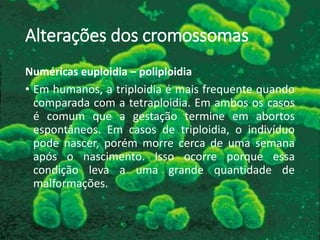 Alterações dos cromossomas
Numéricas euploidia – poliploidia
• Em humanos, a triploidia é mais frequente quando
comparada com a tetraploidia. Em ambos os casos
é comum que a gestação termine em abortos
espontâneos. Em casos de triploidia, o indivíduo
pode nascer, porém morre cerca de uma semana
após o nascimento. Isso ocorre porque essa
condição leva a uma grande quantidade de
malformações.
 