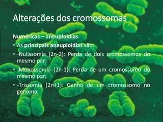 Alterações dos cromossomas
Numéricas – aneuploidias
• As principais aneuploidias são:
• -Nulissomia (2n-2): Perda de dois cromossomos do
mesmo par;
• -Monossomia (2n-1): Perda de um cromossomo do
mesmo par;
• -Trissomia (2n+1): Ganho de um cromossomo no
genoma;
 