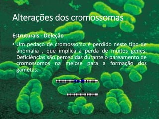 Alterações dos cromossomas
Estruturais - Deleção
• Um pedaço de cromossomo é perdido neste tipo de
anomalia , que implica a perda de muitos genes.
Deficiências são percebidas durante o pareamento de
cromossomos na meiose para a formação dos
gametas.
 