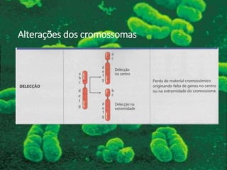 Alterações dos cromossomas
 