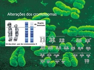 Alterações dos cromossomas
 