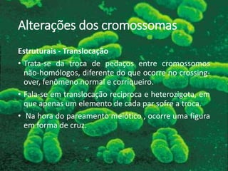 Alterações dos cromossomas
Estruturais - Translocação
• Trata-se da troca de pedaços entre cromossomos
não-homólogos, diferente do que ocorre no crossing-
over, fenômeno normal e corriqueiro.
• Fala-se em translocação reciproca e heterozigota, em
que apenas um elemento de cada par sofre a troca.
• Na hora do pareamento meiótico , ocorre uma figura
em forma de cruz.
 