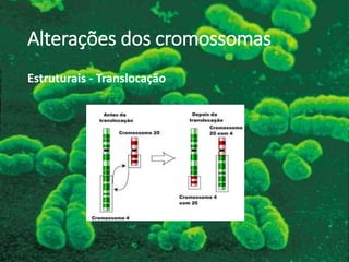 Alterações dos cromossomas
Estruturais - Translocação
 
