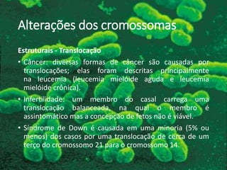 Alterações dos cromossomas
Estruturais - Translocação
• Câncer: diversas formas de câncer são causadas por
translocações; elas foram descritas principalmente
na leucemia (leucemia mielóide aguda e leucemia
mielóide crônica).
• Infertilidade: um membro do casal carrega uma
translocação balanceada, na qual o membro é
assintomático mas a concepção de fetos não é viável.
• Síndrome de Down é causada em uma minoria (5% ou
menos) dos casos por uma translocação de cerca de um
terço do cromossomo 21 para o cromossomo 14.
 