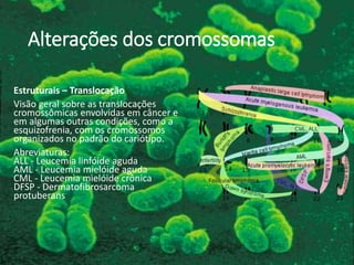 Alterações dos cromossomas
Estruturais – Translocação
Visão geral sobre as translocações
cromossômicas envolvidas em câncer e
em algumas outras condições, como a
esquizofrenia, com os cromossomos
organizados no padrão do cariótipo.
Abreviaturas:
ALL - Leucemia linfóide aguda
AML - Leucemia mielóide aguda
CML - Leucemia mielóide crônica
DFSP - Dermatofibrosarcoma
protuberans
 