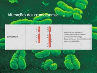 Alterações dos cromossomas
 