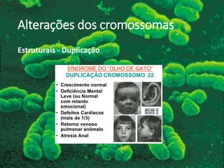 Alterações dos cromossomas
Estruturais - Duplicação
 