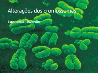 Alterações dos cromossomas
Estruturais - inversão
 