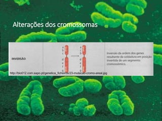 Alterações dos cromossomas
 