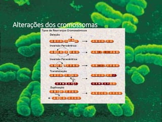 Alterações dos cromossomas
 