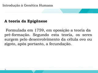 Introdução à Genética Humana
A teoria da Epigênese
Formulada em 1759, em oposição a teoria da
pré-formação. Segundo esta teoria, os seres
surgem pelo desenvolvimento da célula ovo ou
zigoto, após portanto, a fecundação.
 