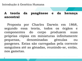 Introdução à Genética Humana
A teoria da pangênese e da herança
ancestral
Proposta por Charles Darwin em 1868,
segundo essa teoria, todos os órgãos e
componentes do corpo produzem suas
próprias cópias em miniaturas infinitamente
pequenas, denominadas gêmulas ou
pangenes. Estas são carregadas pela corrente
sanguínea até as gônadas, reunindo-se, então,
nos gametas.
 