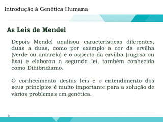 Introdução à Genética Humana
As Leis de Mendel
Depois Mendel analisou características diferentes,
duas a duas, como por exemplo a cor da ervilha
(verde ou amarela) e o aspecto da ervilha (rugosa ou
lisa) e elaborou a segunda lei, também conhecida
como Dihibridismo.
O conhecimento destas leis e o entendimento dos
seus princípios é muito importante para a solução de
vários problemas em genética.
 