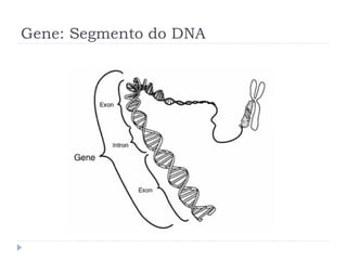 Gene: Segmento do DNA
 