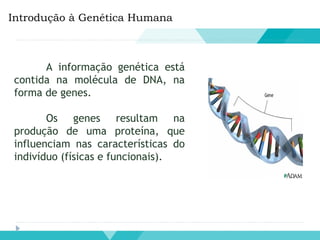 Introdução à Genética Humana
A informação genética está
contida na molécula de DNA, na
forma de genes.
Os genes resultam na
produção de uma proteína, que
influenciam nas características do
indivíduo (físicas e funcionais).
 