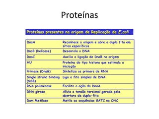 Proteínas
 